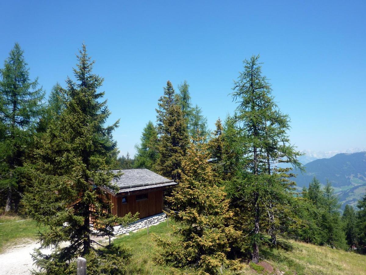 Haus Daniel Schartner Διαμέρισμα Kleinarl Εξωτερικό φωτογραφία